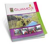 guamote